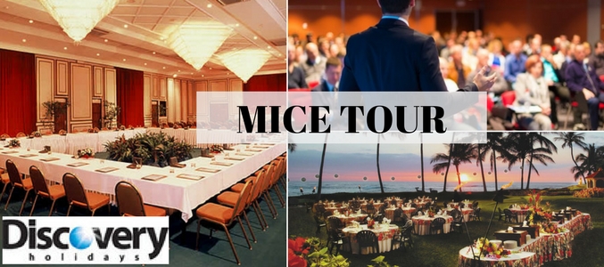 MICE tour operators