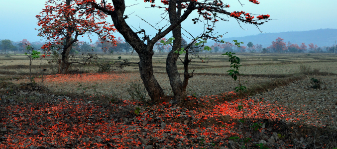 corporate travel agencies