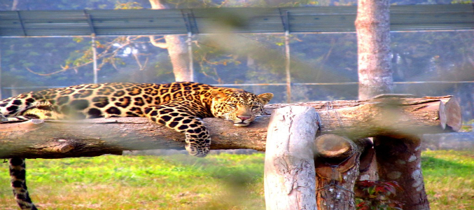 travel and tour agency