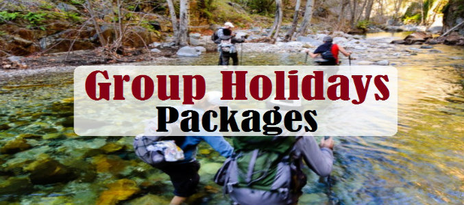 group holiday packages in India