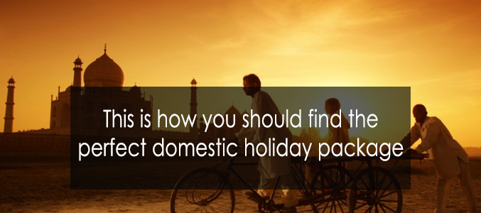domestic holiday package