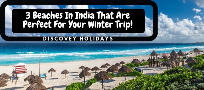 group tours in India