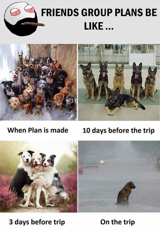 friends group tour plans be like