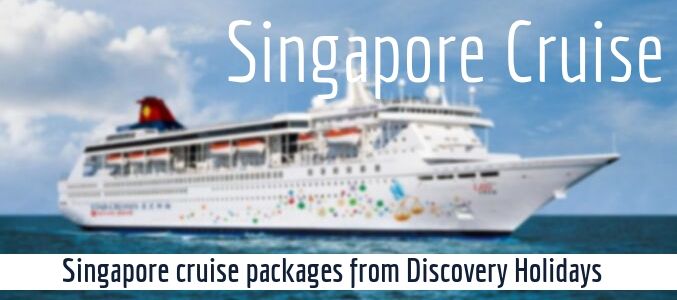enjoy singapore cruise