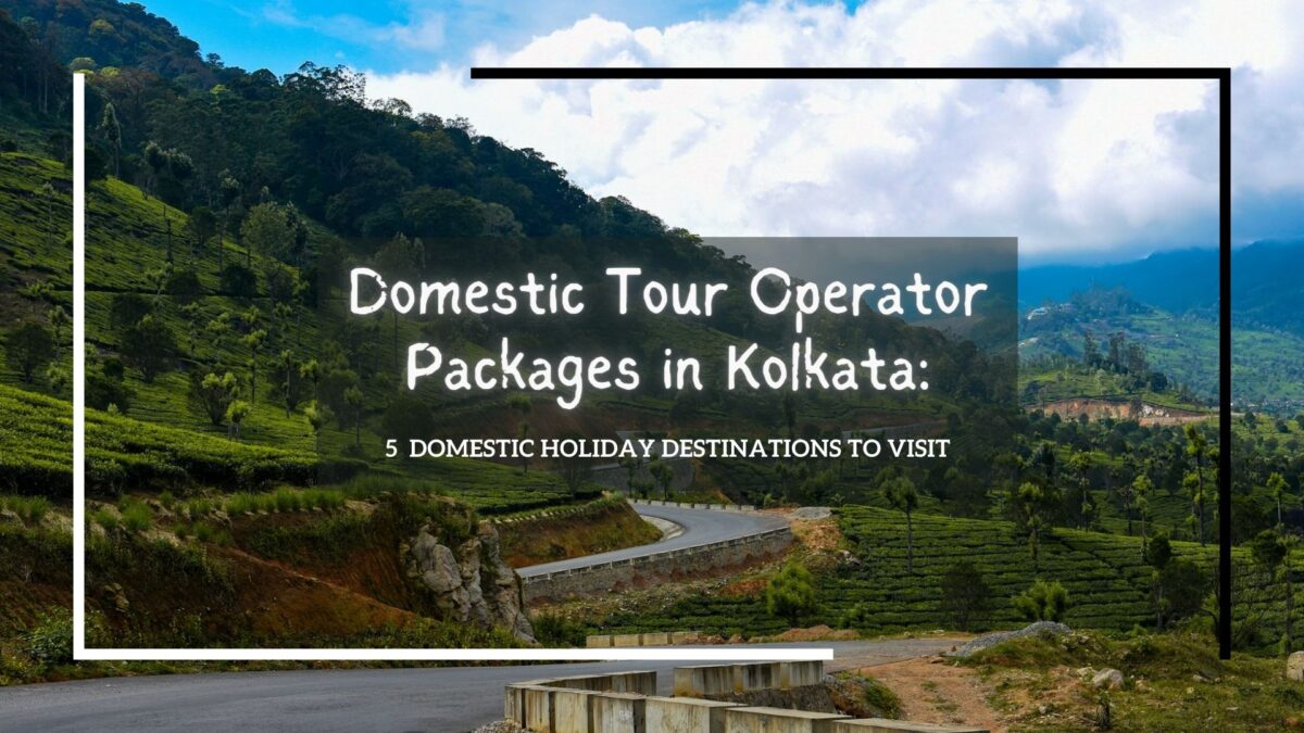 domestic tour operator packages in kolkata 5 domestic holiday destinations to visit
